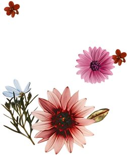 Flowers - Top