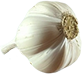 Ingredients---Sep1_0014_Garlic