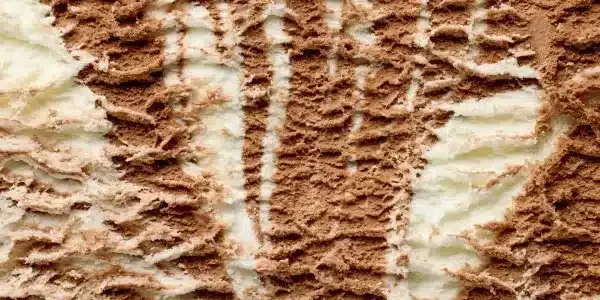 chocolate and vanilla flavors