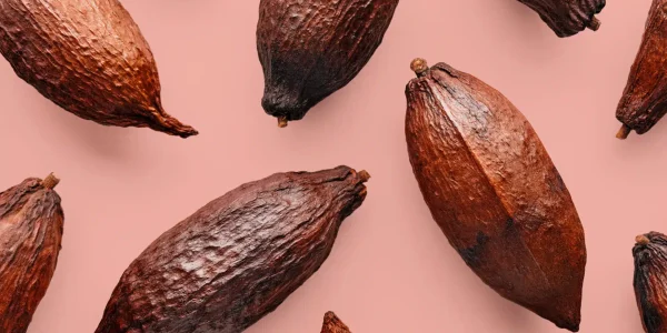 Cocoa,Pods,On,A,Pink,Background,,Creative,Flat,Lay,Food