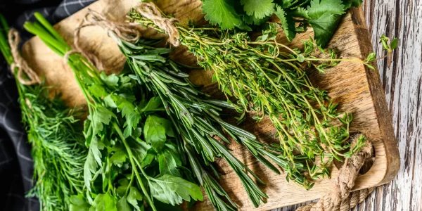Mix,Of,Fresh,Herbs,Coriander,,Rosemary,,Thyme,,Dill,,Parsley.,White