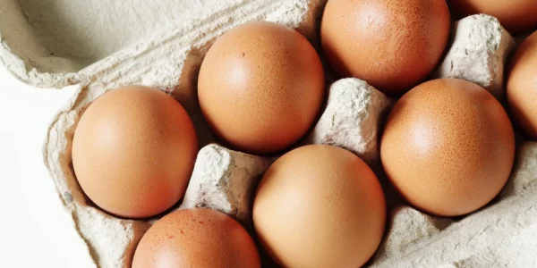 Brown,Hen,Eggs,In,Carton,Box